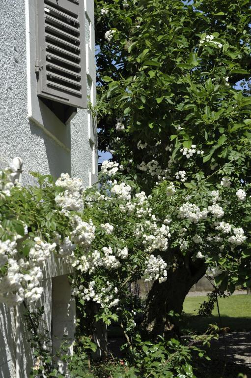 La Maison D'Hotes Du Parc Ronchamp Kültér fotó